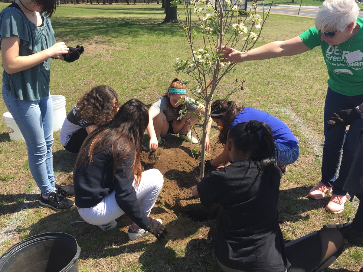 JenFrisella's tweet photo. DMS Green Team working with Delran Green Team to plant a tree on school grounds! Thanks Schneider Electric for the Tree! @DemicheleErica @SchneiderElec @WDeVicaris @Mchale7Mike https://t.co/LFsuytMruo