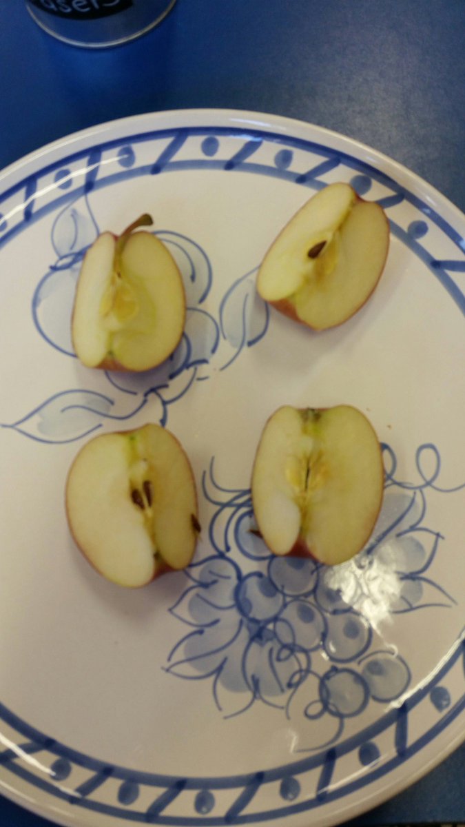 mrspsgr1s's tweet image. Learning about fractions that are good enough to eat........then we started to find fractions in our lunches!! @ConnaughtDSBN #fractionfun @dsbn