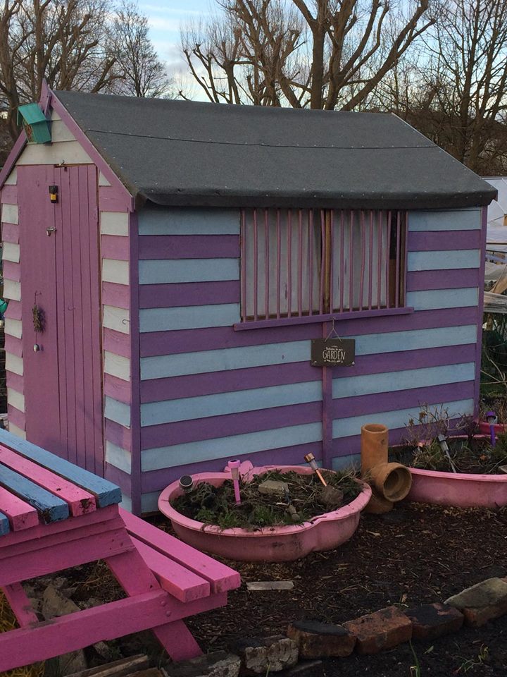 BEAAssociation's tweet photo. Anyone else have a crazy shed at their allotments ? Or is it my wifes thing? tweet us pictures. Our plots hillside off kenn road https://t.co/OPzTF274jS