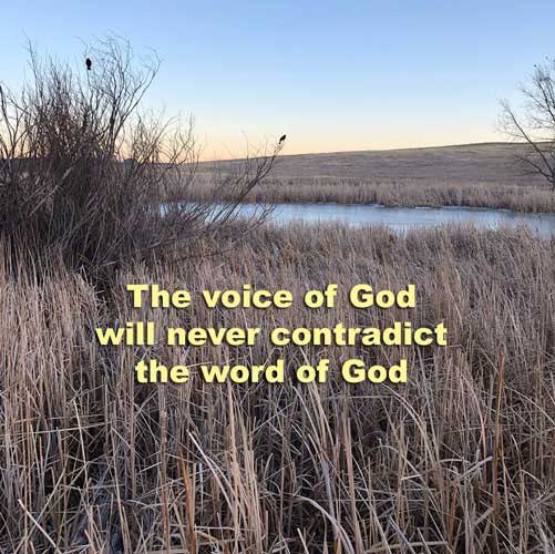 dailyword4you's tweet photo. The grass withers, the flowers fade, but the word of our God remains forever.  Isaiah 40:8 CSB https://t.co/AKwHrtMMHP