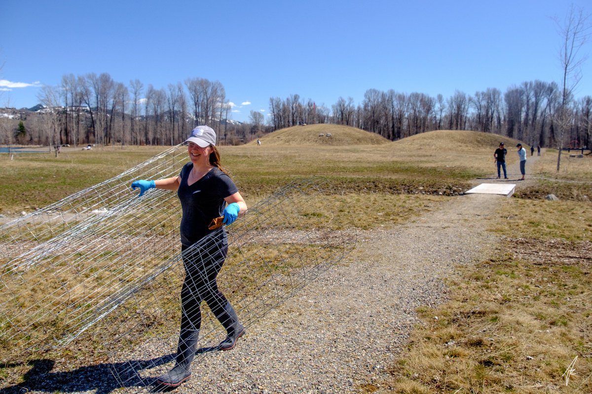 RendezvousPark's tweet photo. 20 volunteers, 1 park. Thank you @TetonGravity for a fun volunteer day at #RPark. Thanks to the @lorfoundation, we have been able to continue reclamation of this space while keeping the park open and accessible. See more volunteer pics: https://t.co/HLELWp0rzr https://t.co/tLYwqgg8me