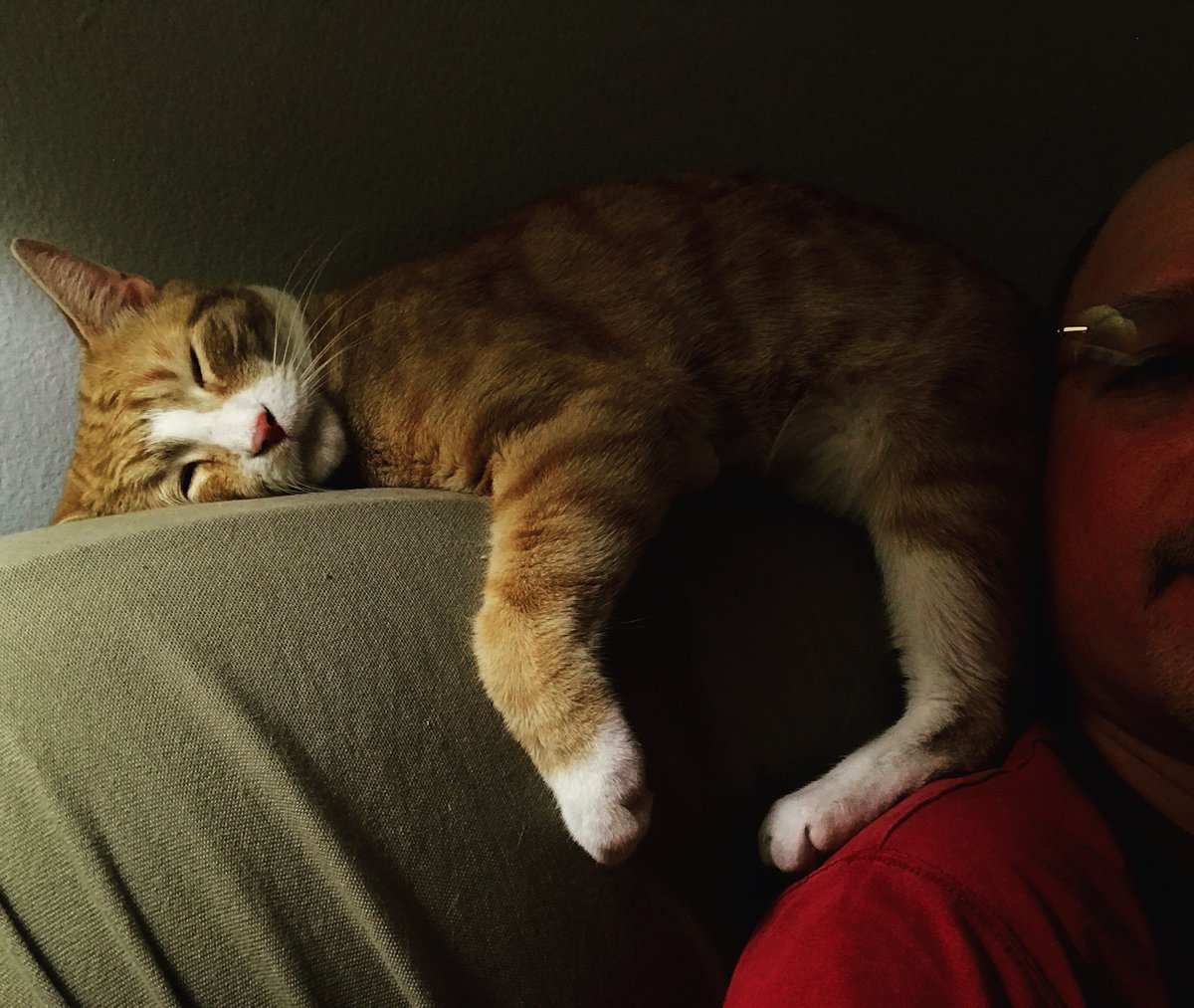 Antonio M. Rosario tweet media