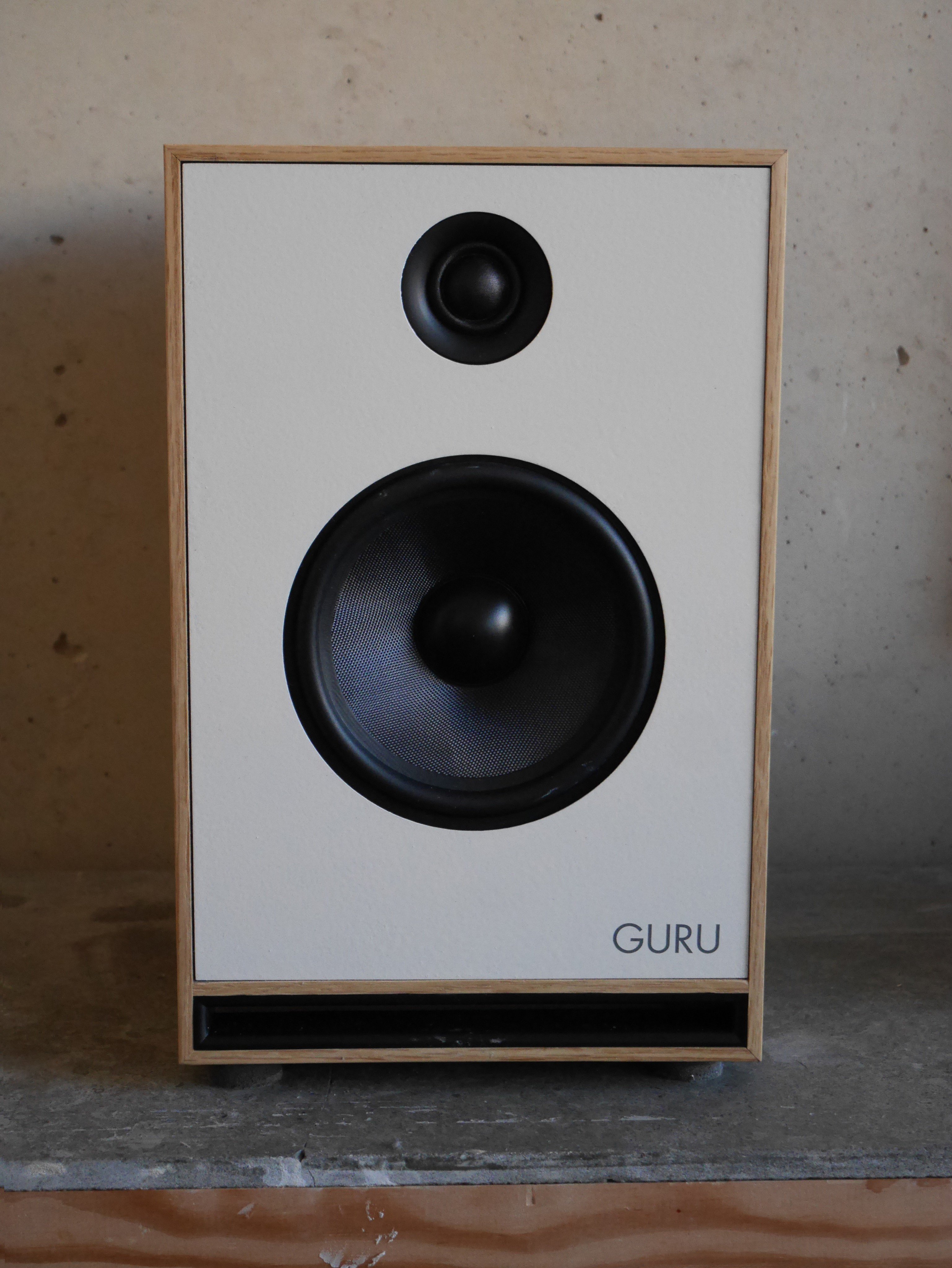Guru Audio guruspeakers X
