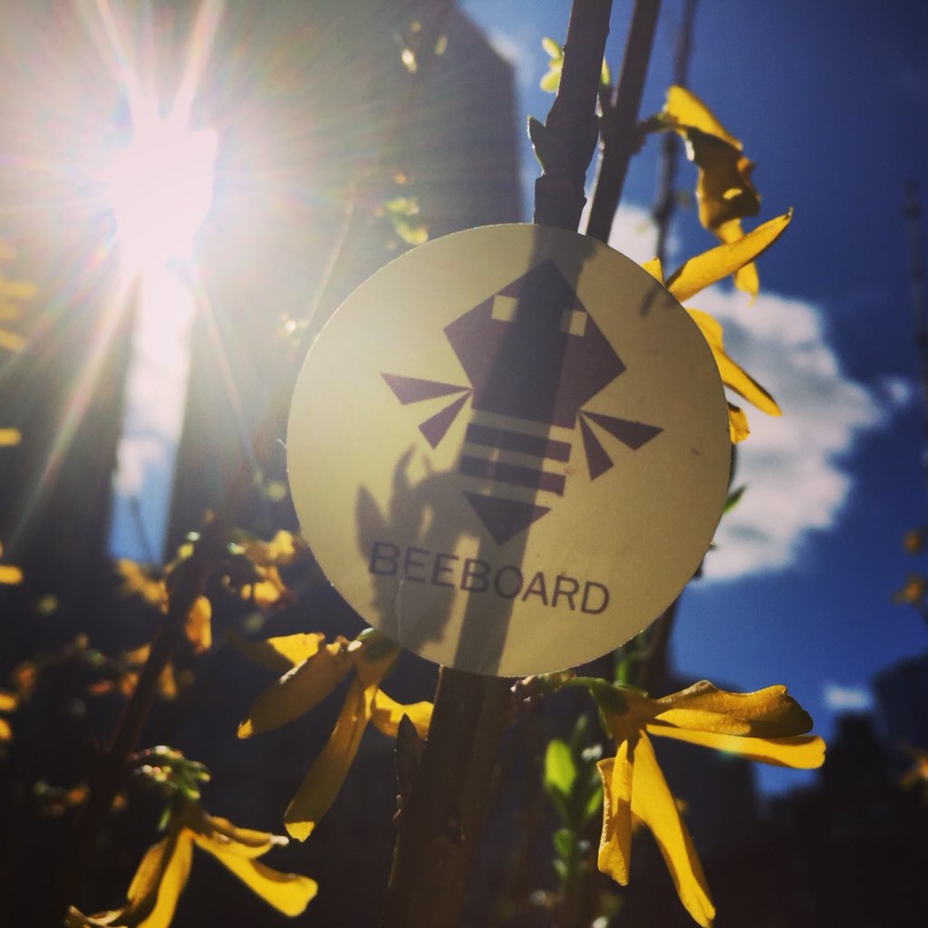 Inspired by nature, equally at home in the city. Post anywhere from anywhere. Download BeeBoard Publisher for iPhone: tinyurl.com/y9qbg5ma 🐝 #BeeBoard #iPad #iPhone #digitalsignage #crosspollinate #busybees #bulletinboard #pinboard #digitalsignage