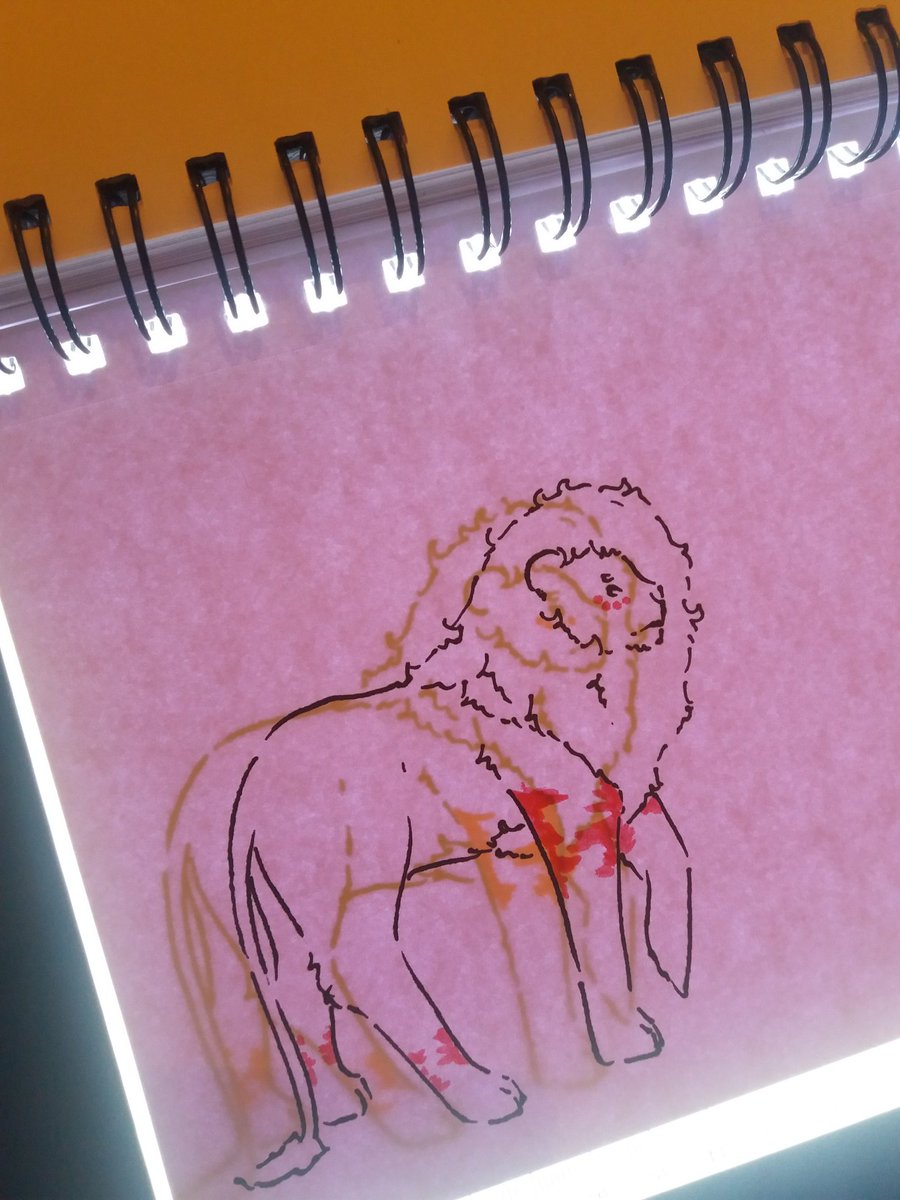 Production_Lois's tweet photo. Adding some colour 💛🖍 #traditionalanimation #lion https://t.co/t8PDYMZ7hj