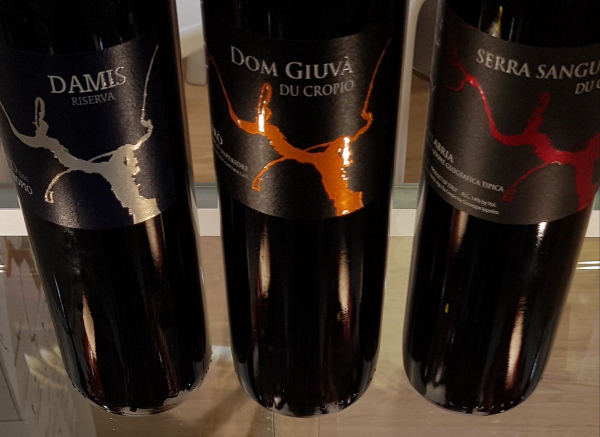 Ducropio's tweet photo. vineyards.... DU CROPIO VINERY
#DuCropioVinery #Calabria #Gaglioppo #WineWensday #winelover #winetasting #winery https://t.co/Fsn4NS1T9K