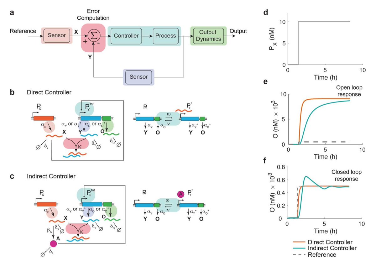 download rna polymerases and associated