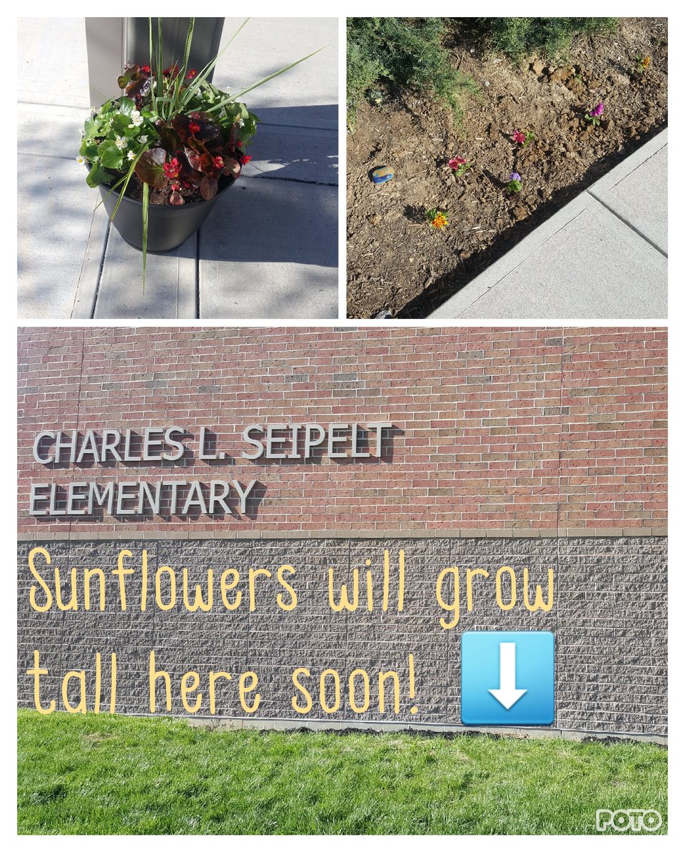 The Kindness Crusaders spread kindness at school today by planting flowers to greet students, teachers, and guests. Love all the color! <a href="/thewattswings/">Amy Watts</a> #seipeltsoars