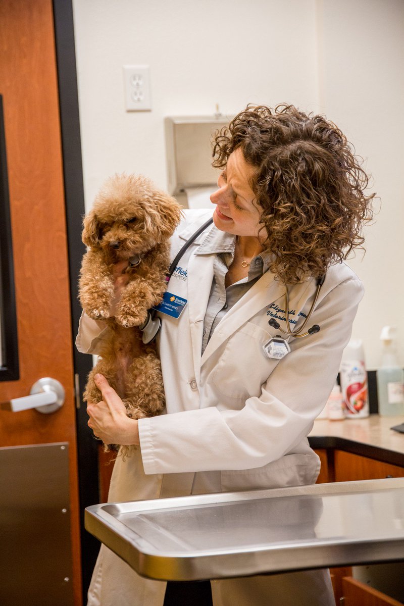 #DYK Optimum Wellness Plans are not pet insurance? OWP's offer proactive veterinary care. While pet insurance offers coverage for many unforeseen circumstances, our preventive care approach allows us to see, treat and prevent those problems ahead of time. #MythBusterMonday
