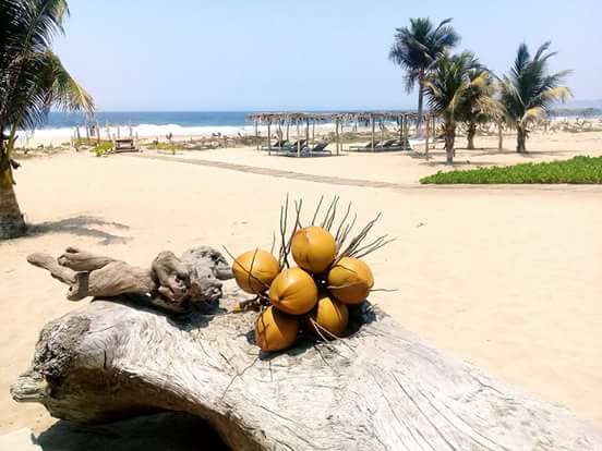 MareaBeachfront's tweet photo. "If you believe in yourself and have dedication and pride - and never quit, you'll be a winner. The price of victory is high but so are the rewards". Paul Bryant https://t.co/hJAiIeLuqh