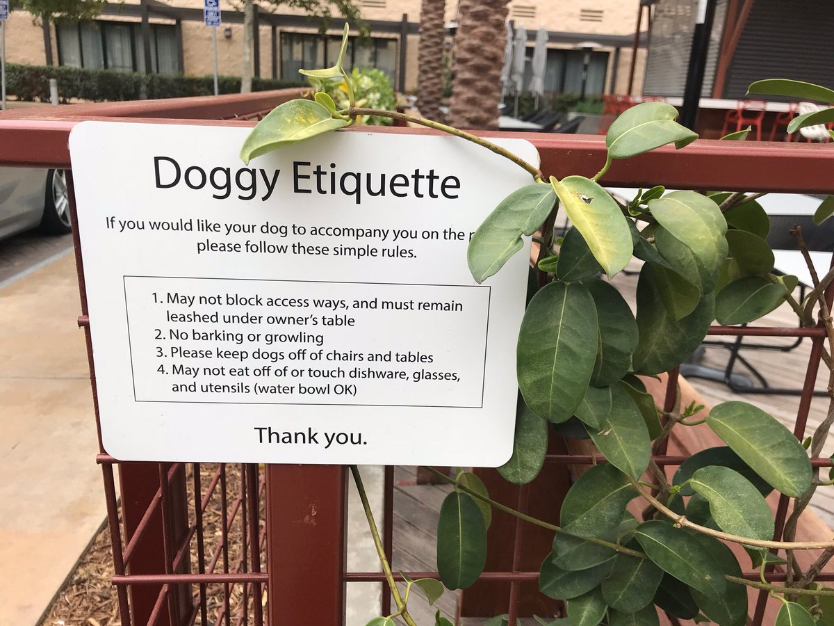 acmecanine's tweet photo. Loving California, great to see they allow dogs on restaurant patios- Ohio hopefully next @PupsOnPatios #DogLover #blogger #Spikesdogblog #eatingout #dogsarefamily https://t.co/ooGjemuzI8