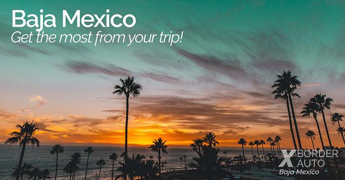 XBorderAuto tweet media