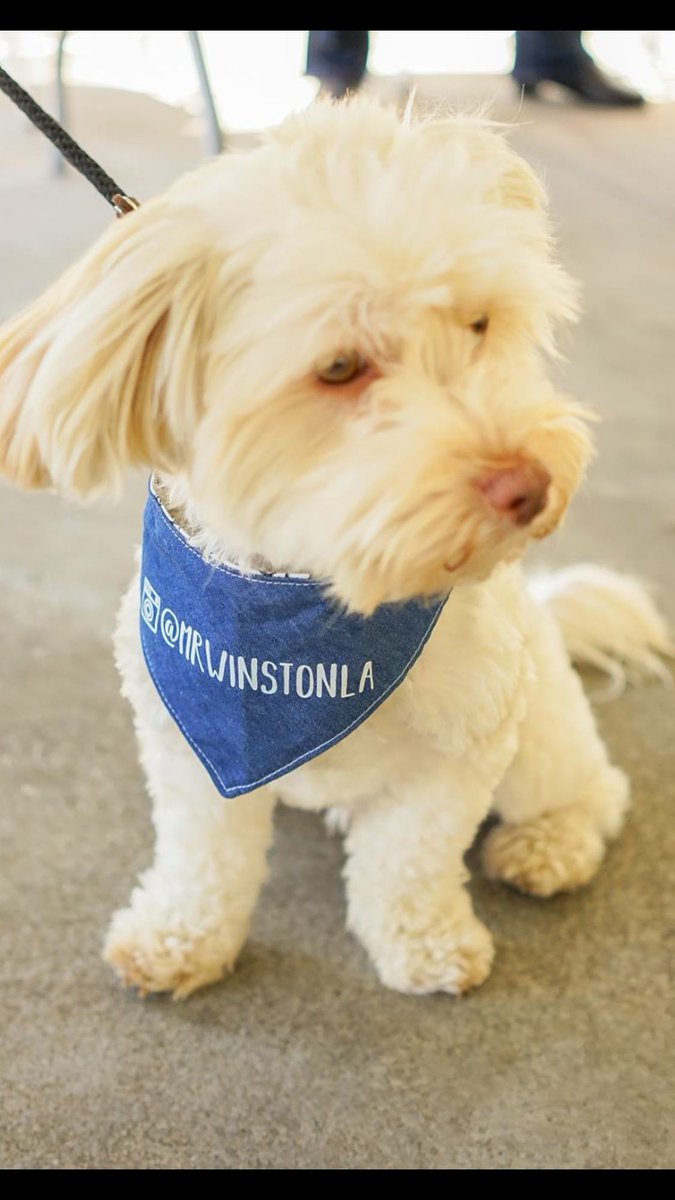 Do I have a big head?