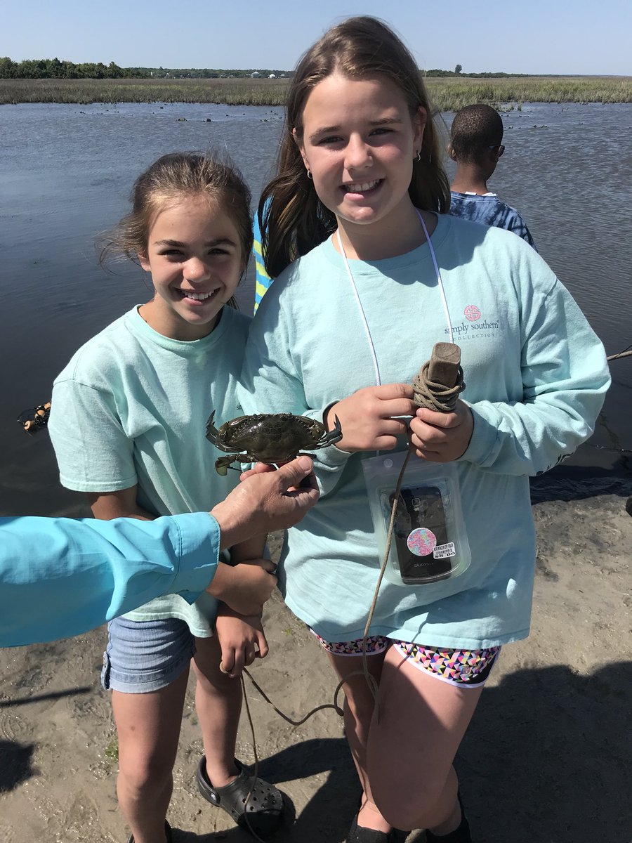 Kristen Hackbarth tweet media