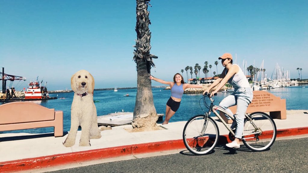marrcuo's tweet photo. Happy Birthday to the three birthday Queens! What a beautiful beach day it was for us today 🤗🤗 @yuri_cowie #shannon #baelee https://t.co/QagM8TqZ0L