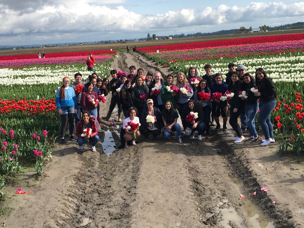 MVHS_ASB's tweet photo. 🌷Clubs working hard on their tulip displays! Excited to see who the winners will be🌷 https://t.co/WehZWCpyZM