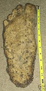 BIGFOOT tweet media