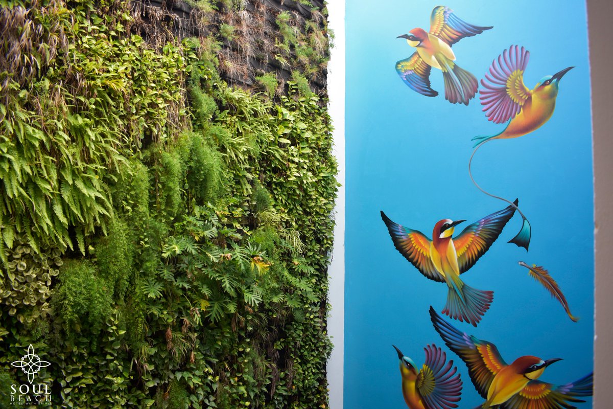 Espacios mágicos ✨#playadelcarmen #pdc #rivieramaya #tulum #cancun #mexico #beach #playa #vacaciones