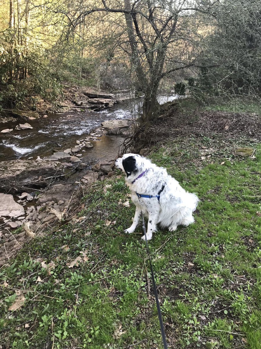 KatoGP's tweet photo. Had a great day hanging out in the backyard with @hikeGET! I love our evening walks and our beautiful surroundings. #MayDay https://t.co/iekdCxqcCY