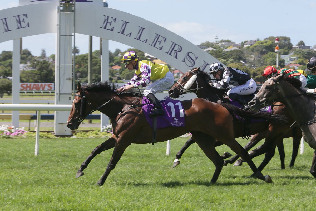 nzracingnews's tweet photo. #SacredMaster to head the @PikeRacing team campaigning in @racing_qld. https://t.co/BPCKGscaLY https://t.co/Bwl6Et1Yw1