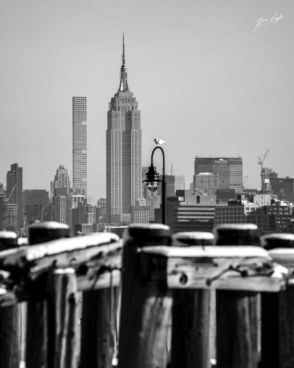 KSayeghPhoto's tweet photo. Be a voice, not an echo....
▪️▫️▪️▫️▪️▫️
#NatGeo #YourShot #EmpireStateOfMind #ABC7NY #blackandwhitephotography https://t.co/7HCW0EMAAx