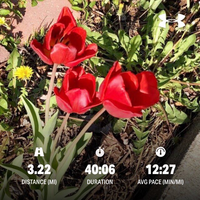 BrainsNBuns's tweet photo. Summer showed up unannounced but still #BitchesBeRunning 🏃🏾‍♀️🤸🏾‍♀️ #fitauntie https://t.co/Gsodv6vD2K