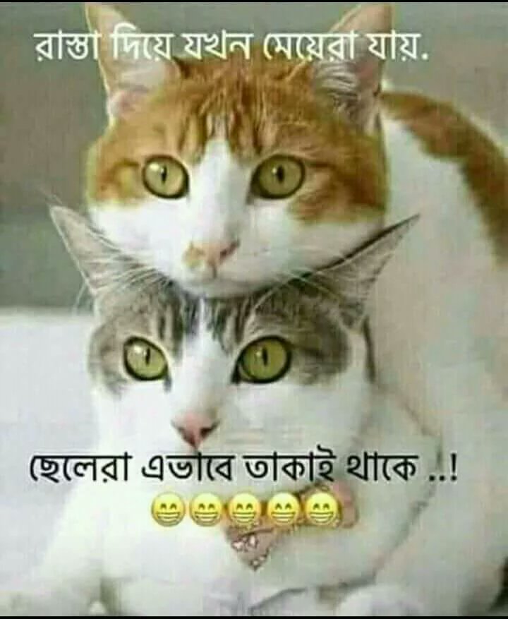 sharminmunny's tweet photo. hahahah https://t.co/8UhBImdz5x