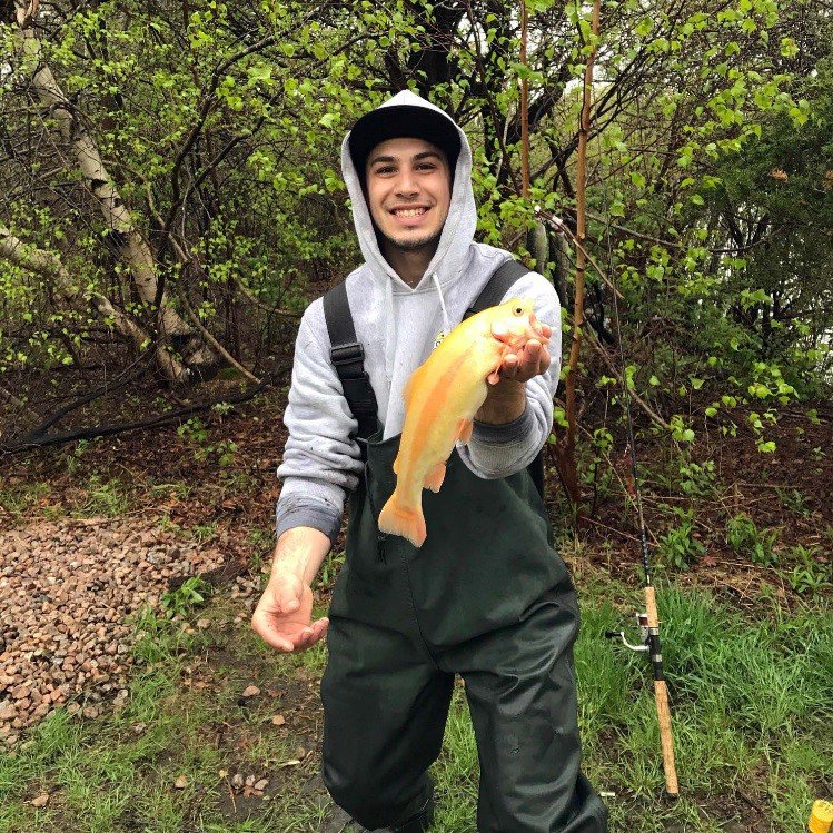 angler with golden rainbow trout