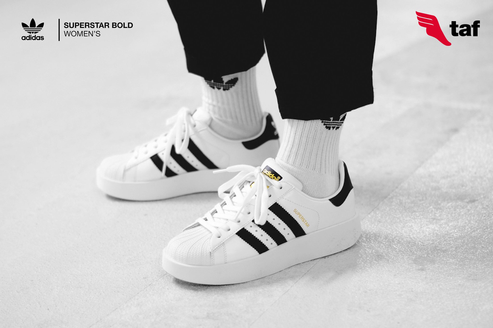 taf adidas superstar