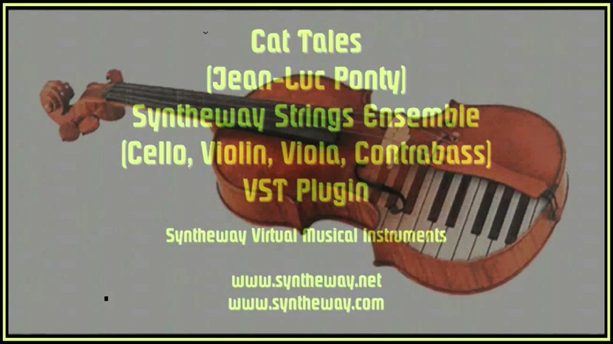 syntheway's tweet photo. #CatTales #JeanLucPonty #VirtualViolin #ElectricViolin #ElectroacousticViolin #ViolinVST #ViolinAudioUnit #ViolinKONTAKT #VirtualCello #StringsAudioUnit #StringsKONTAKT #StringsEnsemble #EnsembleStrings #VirtualStrings #ViolinNKI https://t.co/AdTlmYPCPX https://t.co/JQClN3AtWt
