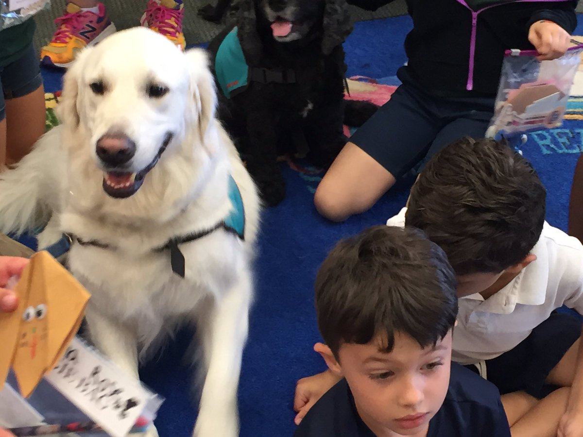 MsElliott_HGE's tweet photo. Paws to Read celebration for 1st/2nd who read all the SLAM books &amp; completed retelling notes. @hgepanthers @MrsHolt_HGE @HGElementary https://t.co/eHk6gYCMih