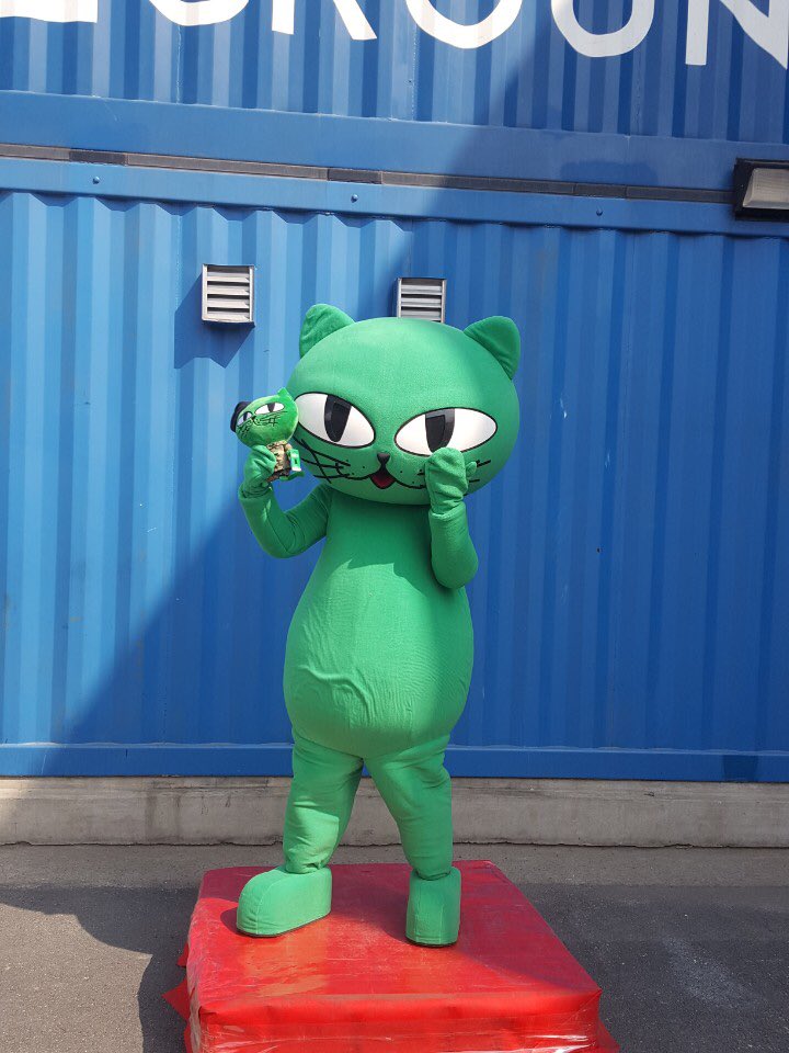 OKCAT tweet media