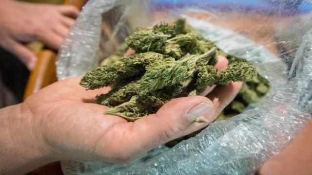 thehill's tweet photo. Missouri House passes bill to legalize medical marijuana https://t.co/nATf67Kchi https://t.co/tvK5SyWhz7