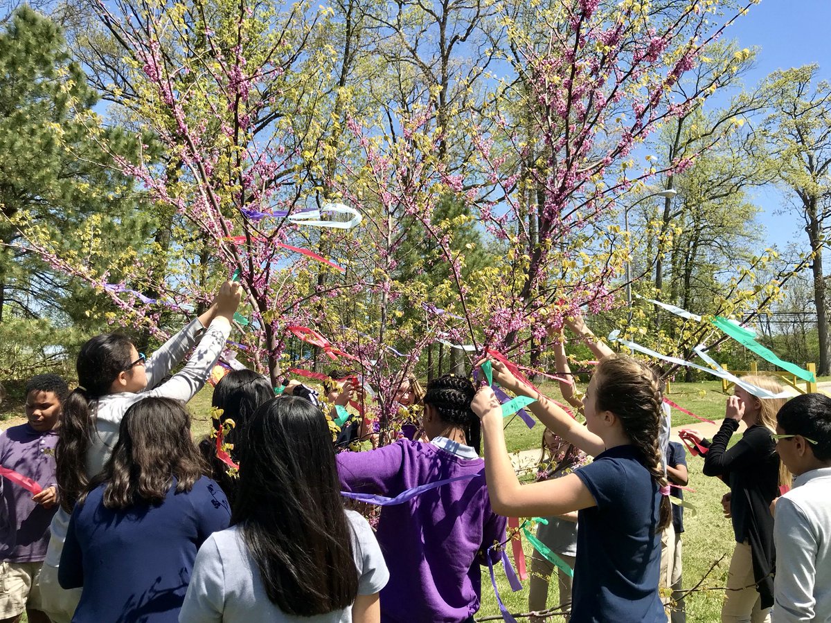 AMSLibraryReads's tweet photo. Mrs. Weber’s 6th grade Lang and Lit class made wishes today! They wished for kindness, family, peace and less homework. ❤️🌳#AMSWishtree2018 https://t.co/BNN1ikqjsb