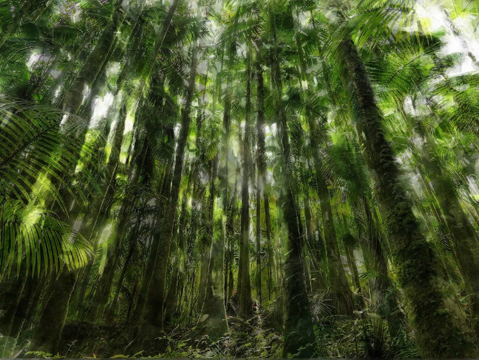 SuzetteAllen's tweet image. Loving my new Apple Pencil! #birthdaypresent from Jonny!  Created with iPadPro+ Apple Pencil+adobe paint can app + adobe mix! #createontheGo #mobileArtlife #suzettesays #becreative #always #hawaii #jungle #photooftheday #120of365 #makeitwithmobile #lumixambassador #bayphotolab