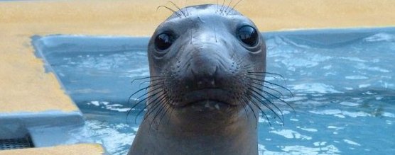 TMMC's tweet photo. Now, this puts a smile on our face! @McDonalds is considering banning plastic straws in the United States https://t.co/orDJtZ2ySU https://t.co/USSc5fUy6p