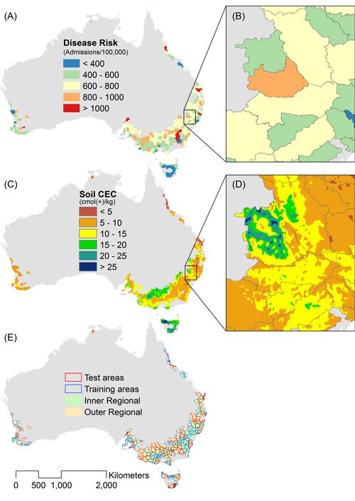 TERN_Aus's tweet photo. New #science shows ‘a little dirt never hurt’. In fact, research using our national #soil data indicates soil exposure reduces disease rates: https://t.co/4QRQ68ARX5 #NCRISimpact via @TERN_Aus &amp; @BioplatformsAus https://t.co/t2OxejVe0V