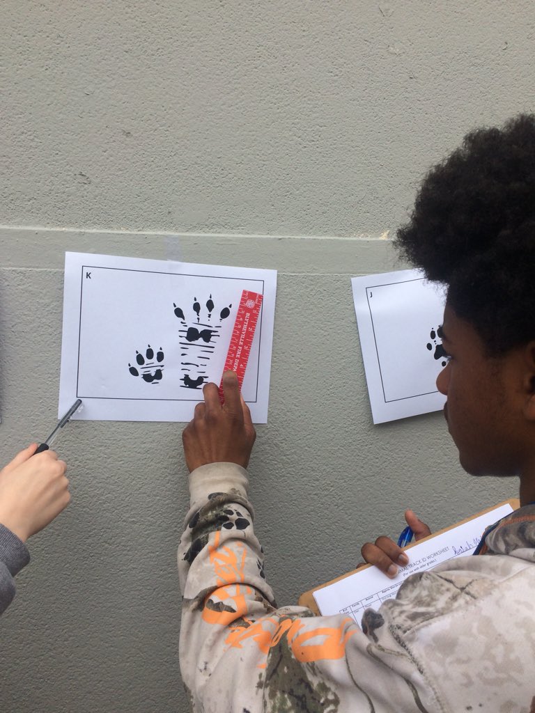 SenecaUrbanAG's tweet photo. #Wildlifeclass evaluates clues to identify animals @SenecaPrincipal @DamienSweeney33 @KristanWright2 https://t.co/sZeOAwSpmK