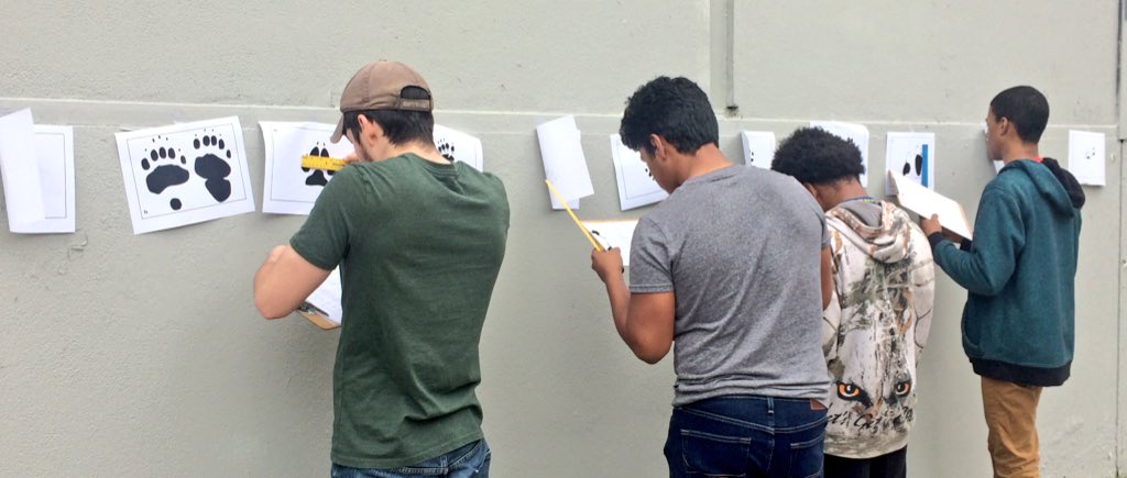 SenecaUrbanAG's tweet photo. #Wildlifeclass evaluates clues to identify animals @SenecaPrincipal @DamienSweeney33 @KristanWright2 https://t.co/sZeOAwSpmK