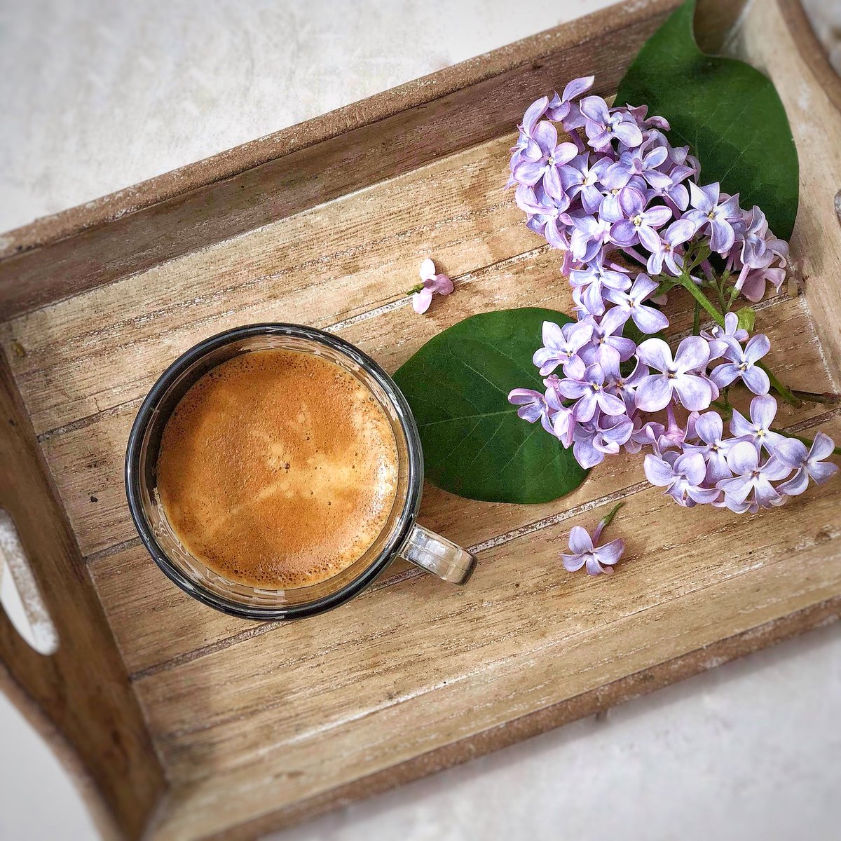 Le favole sono fatte così. Una mattina ti svegli e ti dici: «Era solo una favola…» Sorridi di te: ma nel profondo non sorridi affatto. Sai bene che le favole sono l’unica verità della vita #Piccoloprincipe #AntoinedeSaint-Exupéry .
.
#bonjour #goodmorning #coffee #caffe