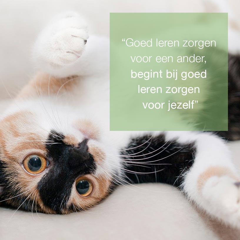 ePyInfo tweet picture