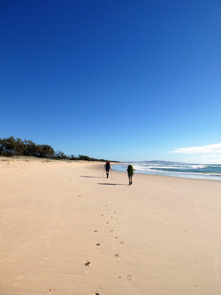 thisissliz's tweet photo. On days like this ☀️ you could be forgiven for thinking there’s no chance of finding an entire stretch of @noosa beach to yourself... 👉 say 👋 to this lesser-known area of the @sunshinecoastoz📍 #TeewahBeach https://t.co/QnqKYeJhlx