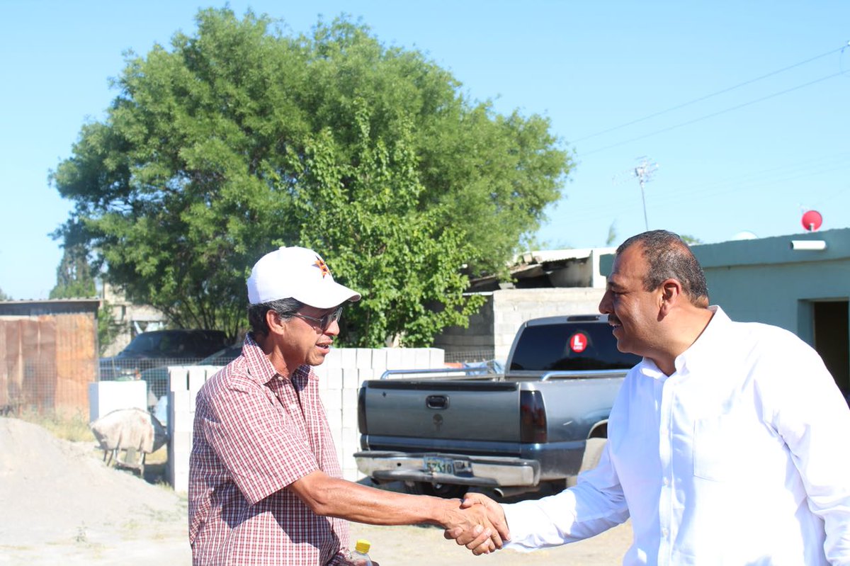 LICO QUINTANILLA tweet media
