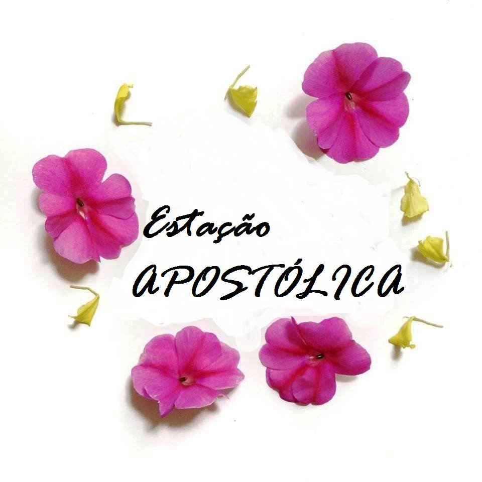 Design_Marcia tweet picture