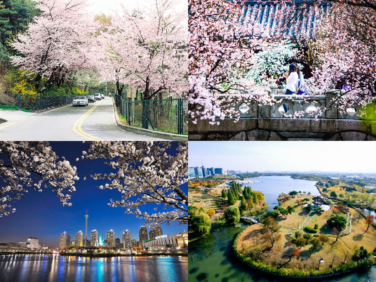 ahjummanila's tweet image. Ahjumma's Korea Bucketlist 🇰🇷
One spring day, your love/bias asked you on a date. What would you like to do? 🌸

Cast your vote by voting on the twt below 😉😍

#travelkorea #visitkorea #SpringDestinations #SouthKorea #Korea