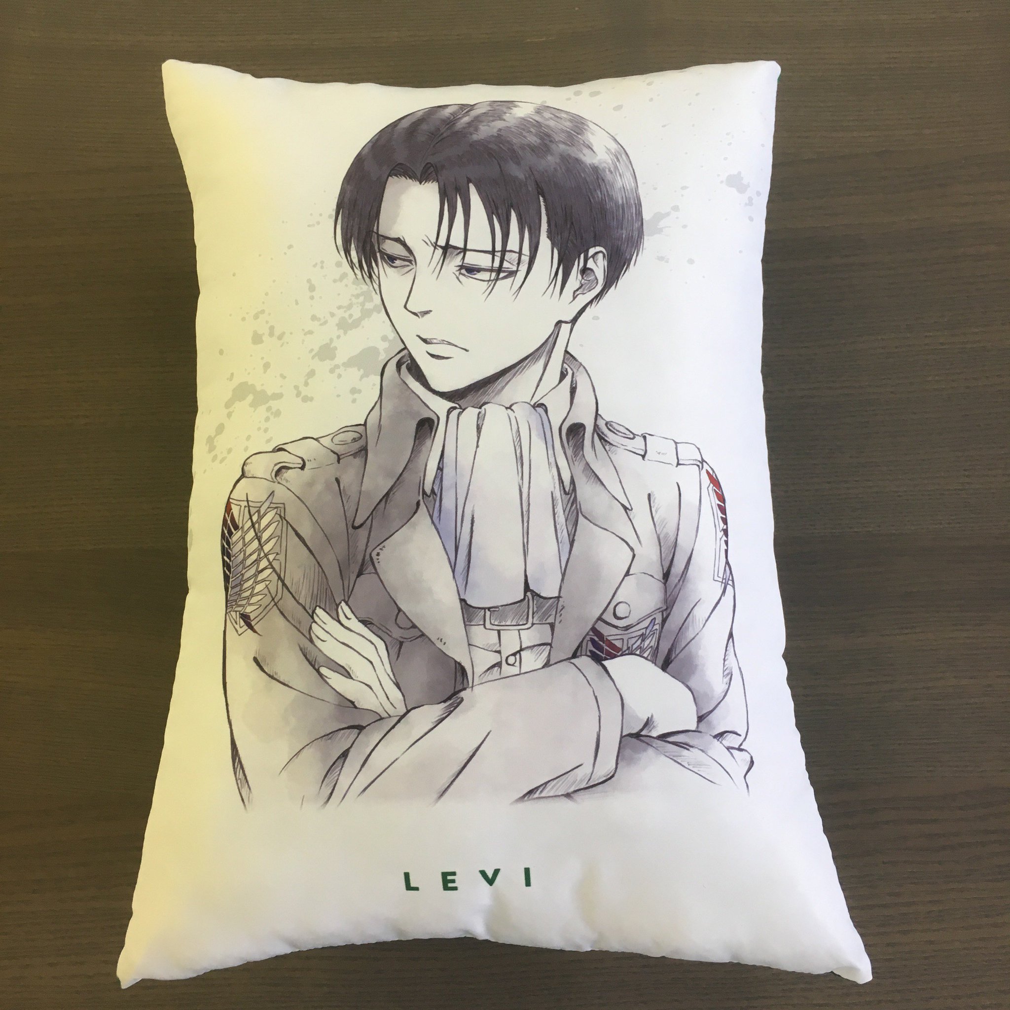 進撃の巨人 エレン WIT STUDIO 描き下ろし クッション 進撃の巨人 エレン WIT STUDIO 描き下ろし クッション
