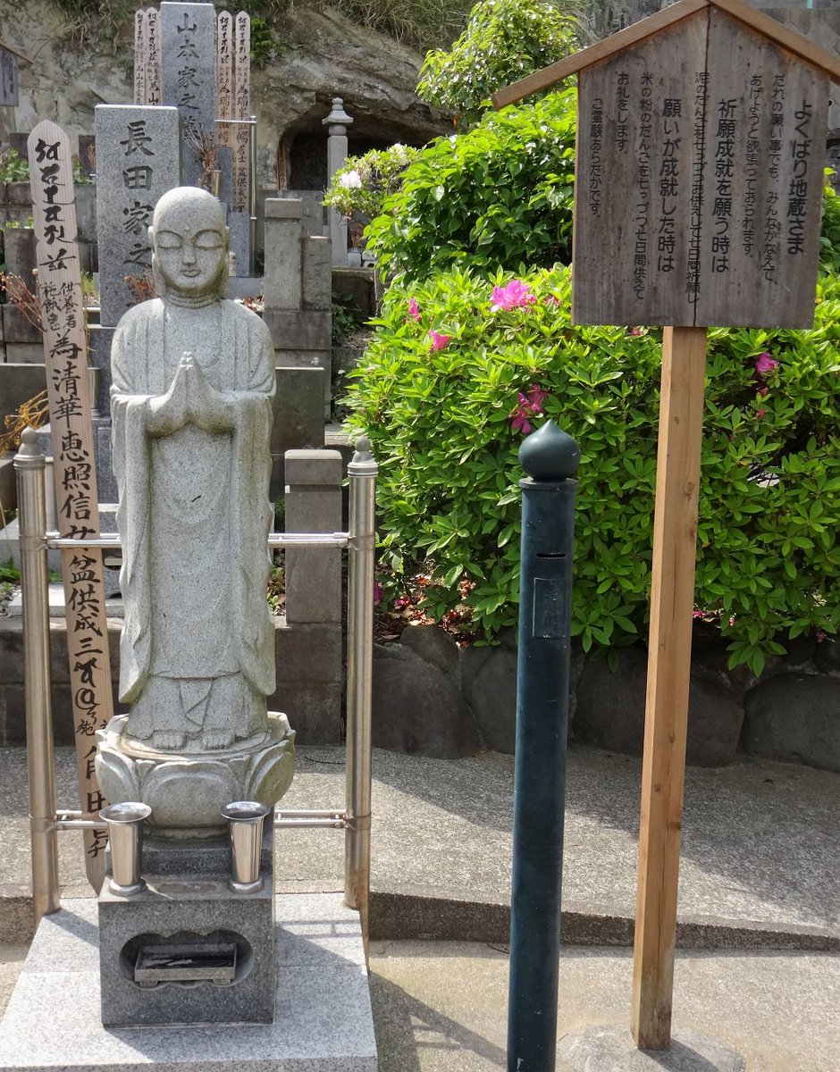 kamakura_kankou's tweet photo. 玉縄にある玉泉寺。玉縄城の家臣だった小林若狭という人が開いたと伝わります。本堂左手の「よくばり地蔵」はどんな願い事も聞いてくれるといいます。境内のカナメモチは今、赤い新芽と白い花が鮮やかです。花の写真は４月２４日撮影。鎌倉ガイド協会「市民協働ツイート事業」 https://t.co/Jjzx5kqrfU