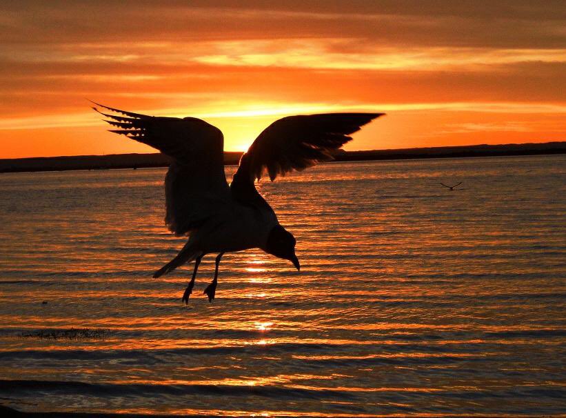 Vía <a href="/VictorMendozaL/">Victor Mendoza Lambert</a>: Aquí les dejo una fotografía que es un auténtico relax. Un atardecer en Bahía de Kino. #Sonora
