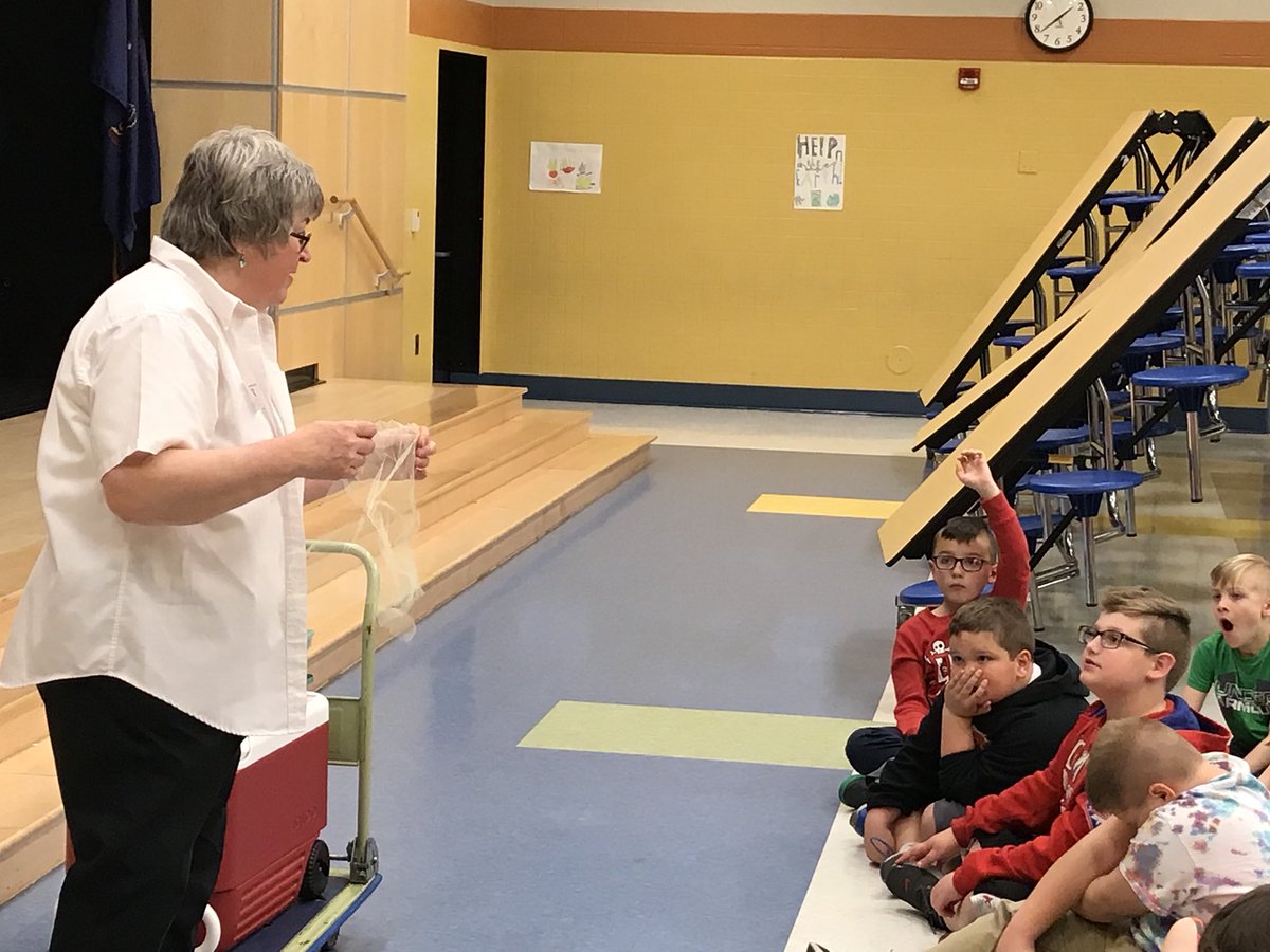 DiMantek's tweet photo. Eggciting News! JSE third graders will be hatching chicks!  We had an assembly today to start our adventure learning about embryology!  #embryology #thirdgrade https://t.co/5cnefasJIP