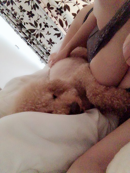 おはよう😃 いつもの光景😊💛 https://t.co/IitwptU53M<a href="/tag/%E7%AE%B1%E6%A0%B9%E9%A7%85%E4%BC%9D2023"class="tags"><span>#箱根駅伝2023</span></a>